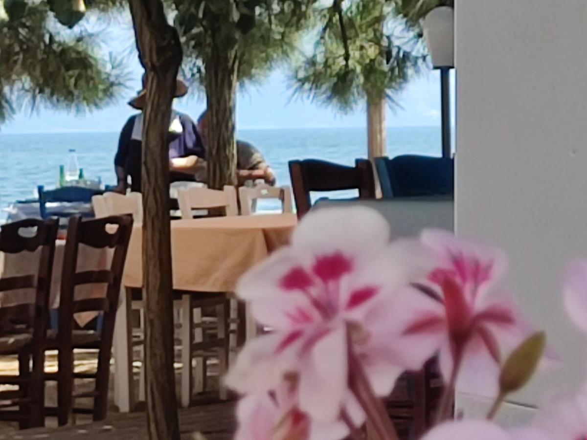 Look To The Sea Nea Karvaliヴィラ エクステリア 写真